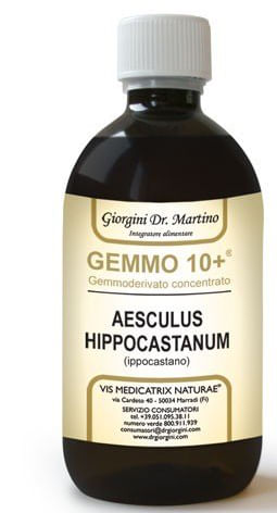 GEMOO 10+ GEMMODERIVATO CONCENTRATO IPPOCASTANO LIQUIDO ANALCOLICO AESCULUS HIPPOCASTANUM IPPOCASTANO 500 ML