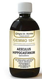 GEMOO 10+ GEMMODERIVATO CONCENTRATO IPPOCASTANO LIQUIDO ANALCOLICO AESCULUS HIPPOCASTANUM IPPOCASTANO 500 ML