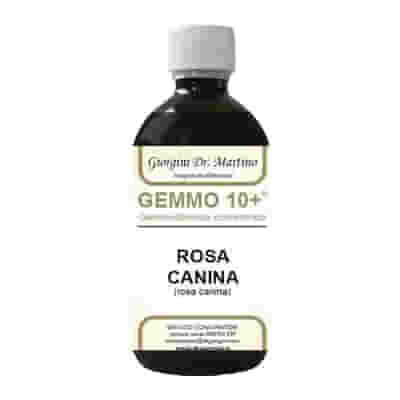 GEMMO 10+ ROSA CANINA LIQUIDO ANALCOLICO 500 ML