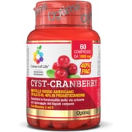 COLOURS OF LIFE CYST-CRANBERRY CON VITAMINA C E 60 COMPRESSE 1000 MG