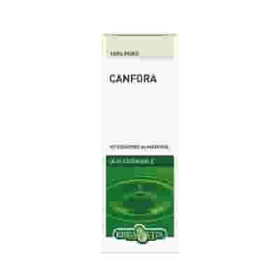 Olio Essenziale di Canfora puro al 100%, flacone 10ml