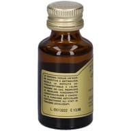 ZENZERO QUINTESSENZA SPRAY 15 ML