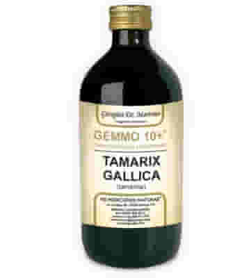 GEMMO 10+ GEMMODERIVATO CONCENTRATO LIQUIDO ANALCOLICO TAMARIX GALLICA TAMERICE 500 ML