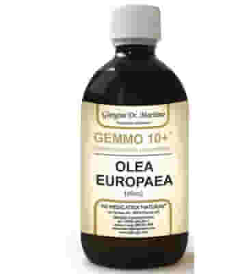 GEMMO 10+ QUERCIA 500 ML LIQUIDO ANALCOLICO