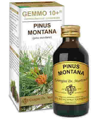 GEMMO 10+ PINO MONTANO 100 ML LIQUIDO ANALCOLICO