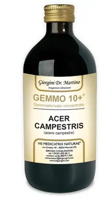GEMMO 10+ ACERO CAMPESTRE 500 ML LIQUIDO ANALCOLICO GEMMO 10+ ACERO CAMPESTRE 500 ML LIQUIDO ANALCOLICO