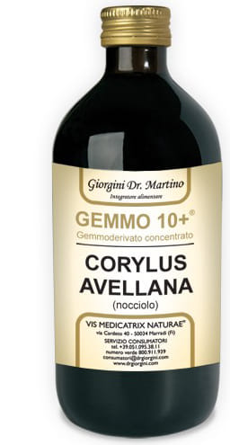 GEMMO 10+ NOCCIOLO 500 ML LIQUIDO ANALCOLICO