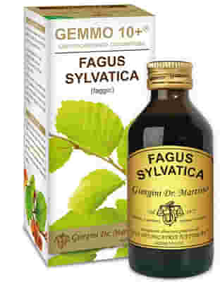 GEMMO 10+ FAGGIO 100 ML LIQUIDO ANALCOLICO