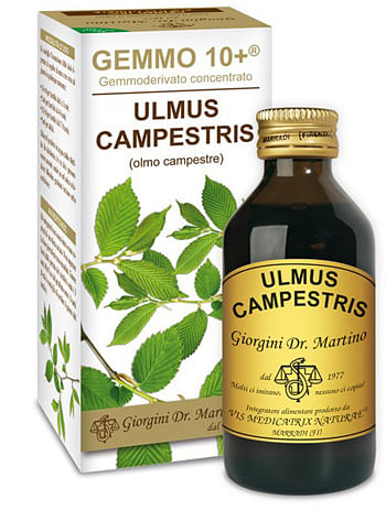 Gemmo 10+ Olmo Campestre 100 Ml Liquido Analcolico