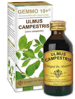 GEMMO 10+ OLMO CAMPESTRE 100 ML LIQUIDO ANALCOLICO