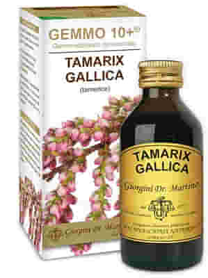 GEMMO 10+ TAMERICE 100 ML LIQUIDO ANALCOLICO