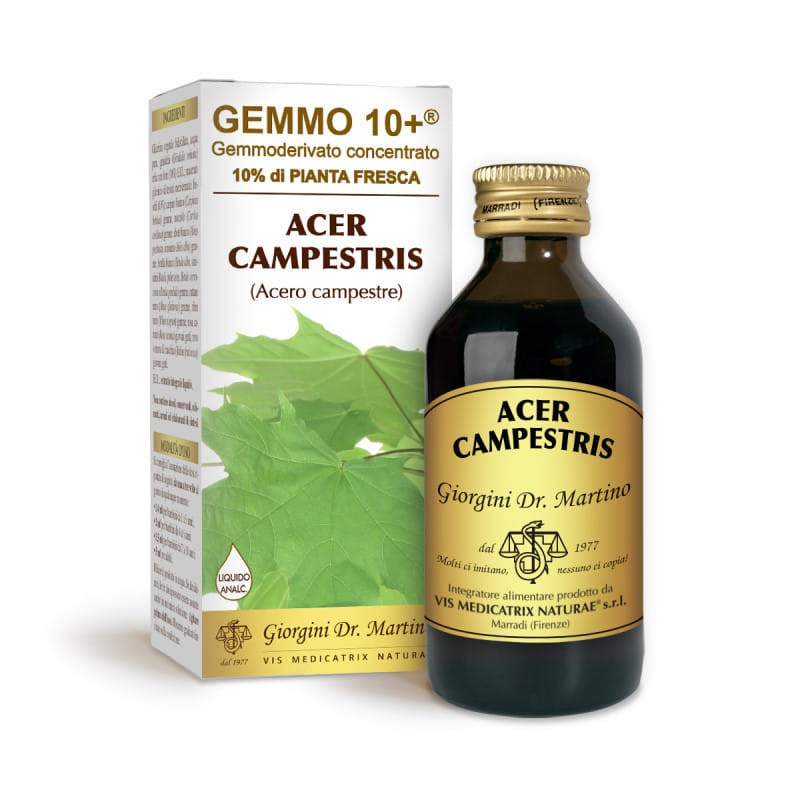 GEMMO 10+ ACERO CAMPESTRE 100 ML LIQUIDO ANALCOLICO