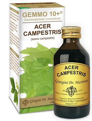 Gemmo 10+ Acero Campestre 100 Ml Liquido Analcolico