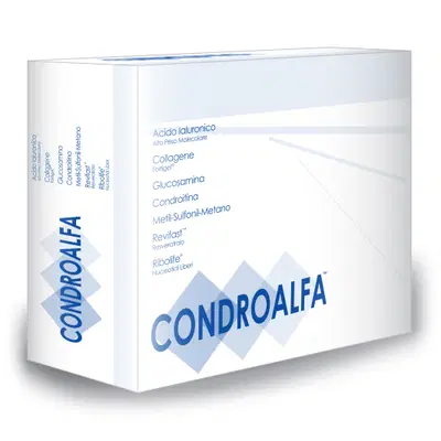 CONDROALFA 20 BUSTINE CONDROALFA 20 BUSTINE