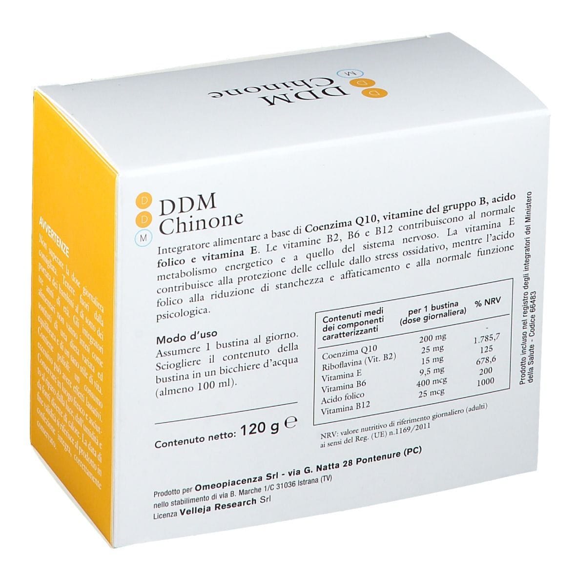 DDM CHINONE 30 BUSTINE