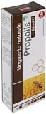 PROPOLIS UNGUENTO NATURALE 65 ML