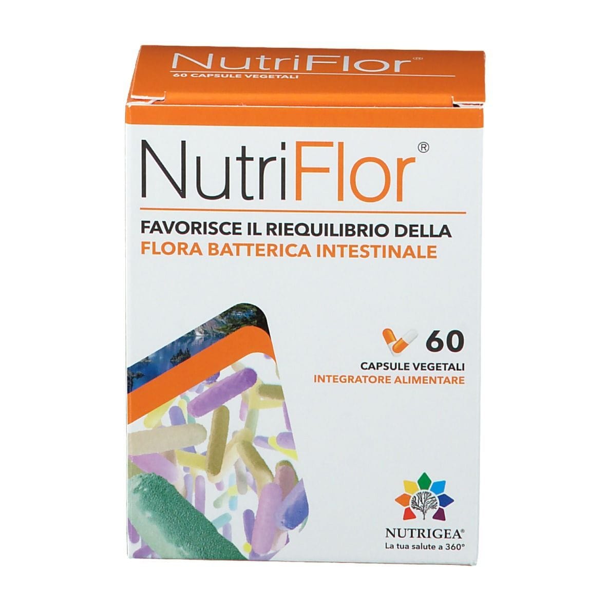 NUTRIFLOR 60 CAPSULE