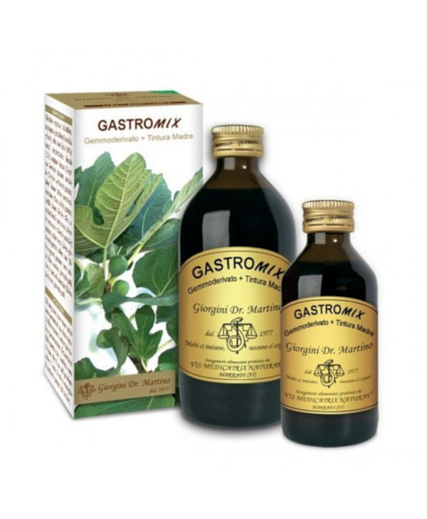 Gastromix Liquido Analcolico 100 Ml