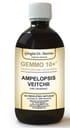 GEMMO 10+ GEMMODERIVATO CONCENTRATO LIQUIDO ANALCOLICO AMPELOPSIS VEITCHI VITE CANADESE 500 ML
