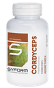 CORDYCEPS 100 CAPSULE
