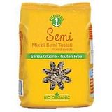 MIX DI SEMI TOSTATI 250 G