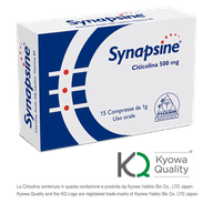 SYNAPSINE BLISTER 15 COMPRESSE ASTUCCIO 15 G