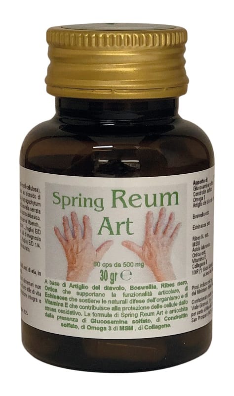 SPRING REUM ART 60 CAPSULE