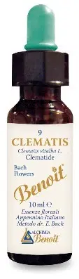 FIORI DI BACH BENOIT CLEMATIS 10 ML FIORI DI BACH BENOIT CLEMATIS 10 ML