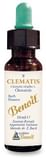 FIORI DI BACH BENOIT CLEMATIS 10 ML