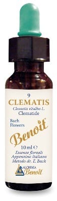 Fiori Di Bach Benoit Clematis 10 Ml