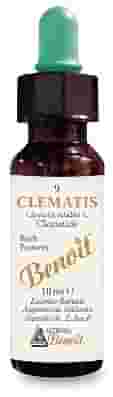 FIORI DI BACH BENOIT CLEMATIS 10 ML