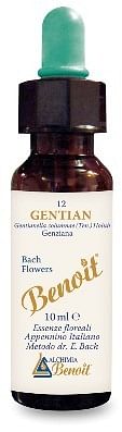 Fiori Di Bach Benoit Gentian 10 Ml