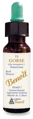 FIORI DI BACH BENOIT GORSE 10 ML FIORI DI BACH BENOIT GORSE 10 ML
