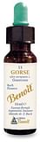 FIORI DI BACH BENOIT GORSE 10 ML