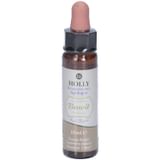 FIORI DI BACH BENOIT HOLLY 10 ML