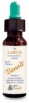 Fiori Di Bach Benoit Larch 10 Ml