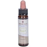 FIORI DI BACH BENOIT MIMULUS 10 ML