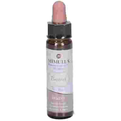 FIORI DI BACH BENOIT MIMULUS 10 ML