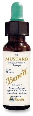 Fiori Di Bach Benoit Mustard 10 Ml