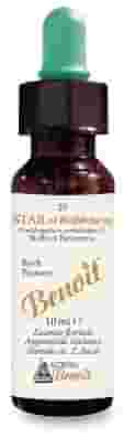 FIORI DI BACH BENOIT STAR OF BETHLEHEM 10 ML FIORI DI BACH BENOIT STAR OF BETHLEHEM 10 ML