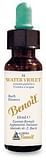FIORI DI BACH BENOIT WATER VIOLET 10 ML