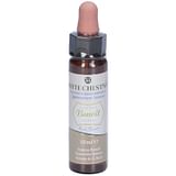 FIORI DI BACH BENOIT WHITE CHESTNUT 10 ML