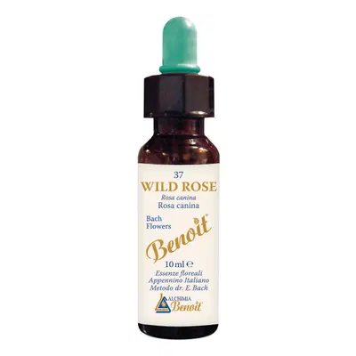 FIORI DI BACH BENOIT WILD ROSE 10 ML FIORI DI BACH BENOIT WILD ROSE 10 ML