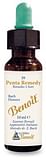 PENTA REMEDY BENOIT 10 ML