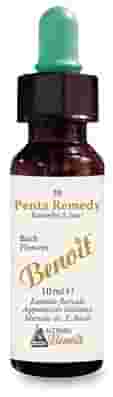 PENTA REMEDY BENOIT 10 ML