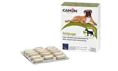 HELPAGE VET 60 COMPRESSE
