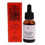 TS24 GINKGO BILOBA 20 ML