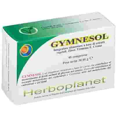 GYMNESOL 48 COMPRESSE