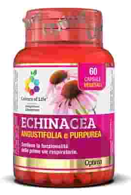 COLOURS OF LIFE ECHINACEA 60 CAPSULE VEGETALI 500 MG