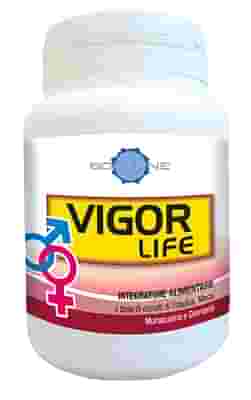 VIGOR LIFE 40 CAPSULE